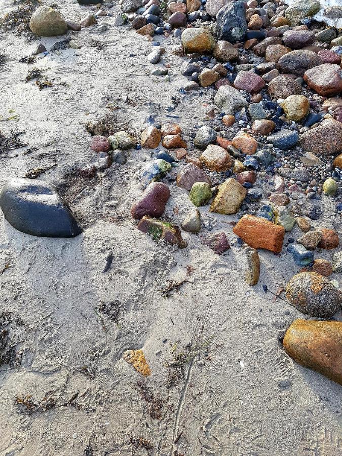 Strandappartement Steinberghaff "Farborg" Mit Meerblick Steinberg  Luaran gambar